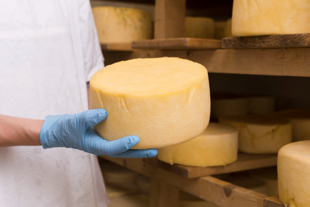 Conocer el queso manchego para poder diferenciarlo